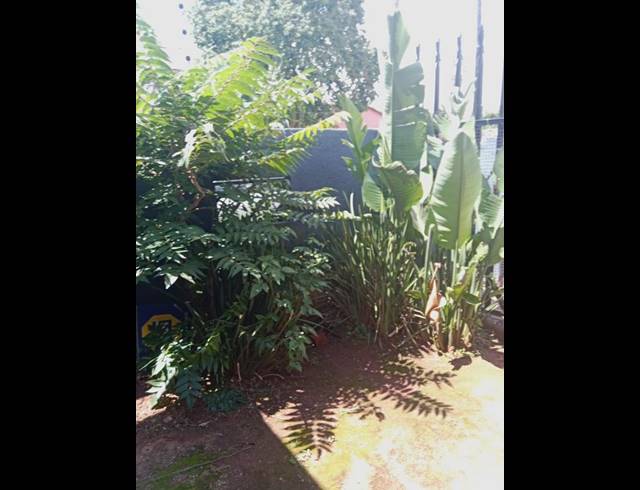 1 BEDROOM HOUSE FOR SALE IN VREDEDORP